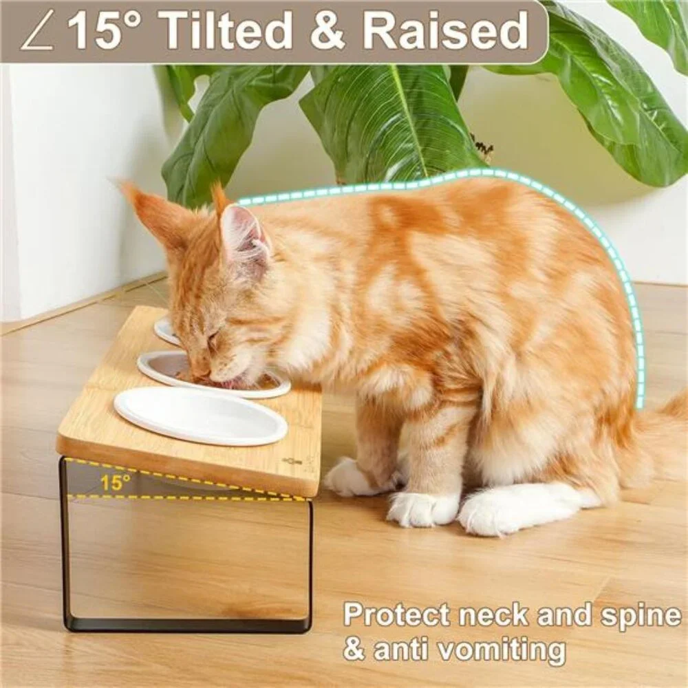 Raised Cat Food Water Bowl Elevated Tilted Kitty Dishes Set of 3 Ceramic Dish